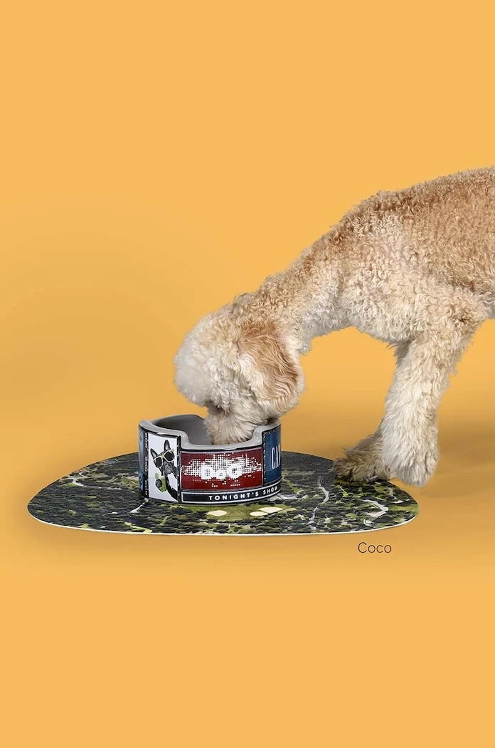 United Pets New York x Seletti Evcil Hayvan Mama Kabı