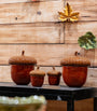 Acorn Box (15cm)