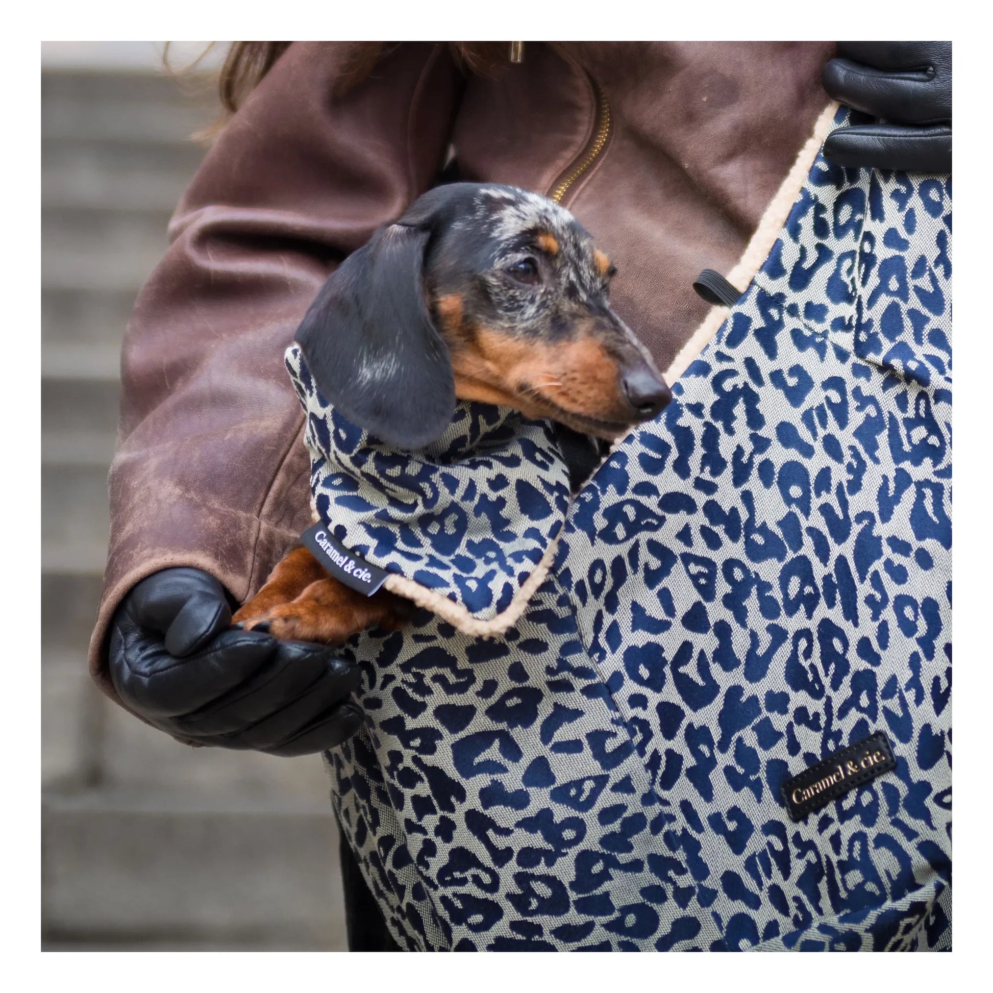 Caramel & Cie - Leopard Dog Bandana | Grey