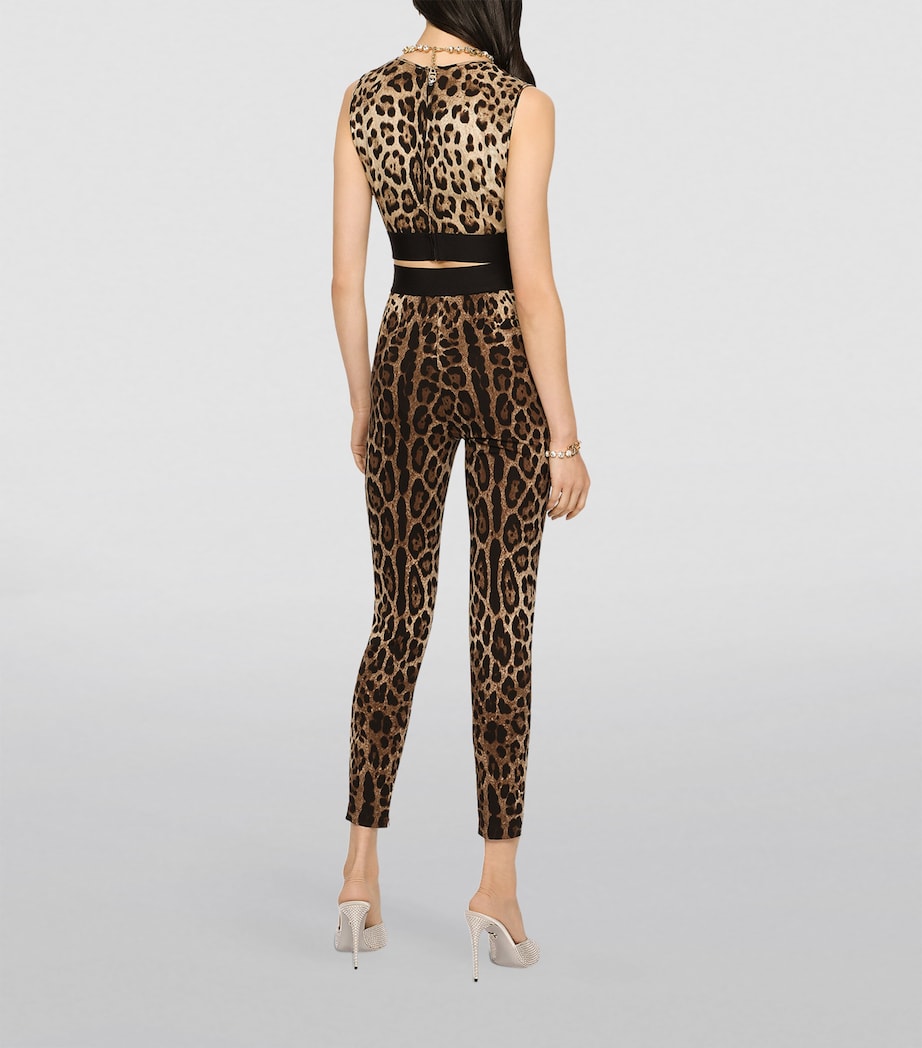 Dolce & Gabbana Multi Leopard-Print Leggings
