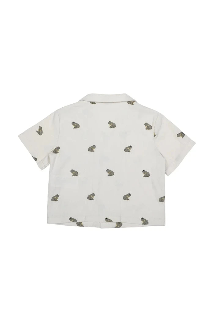 Детска риза с лен Donsje Deccie Shirt Frogs