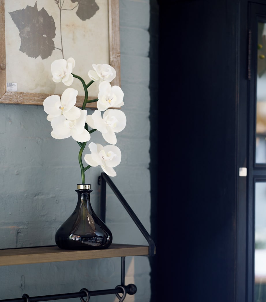 The Orchid Amber and Oud Diffuser (250ml)