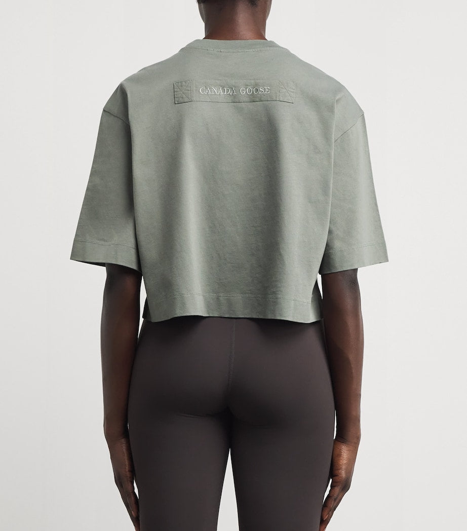 Cotton Addison Crop Top SAGEBRUSH