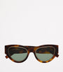 Saint Laurent Brown Acetate SL M94 Sunglasses