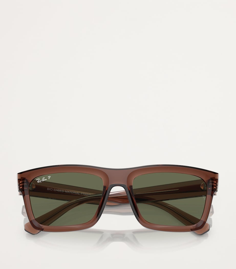 Ray-Ban Brown Acetate 0RB4396 Sunglasses