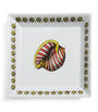 Square Giro di Conchiglie Plate (20cm x 20cm)