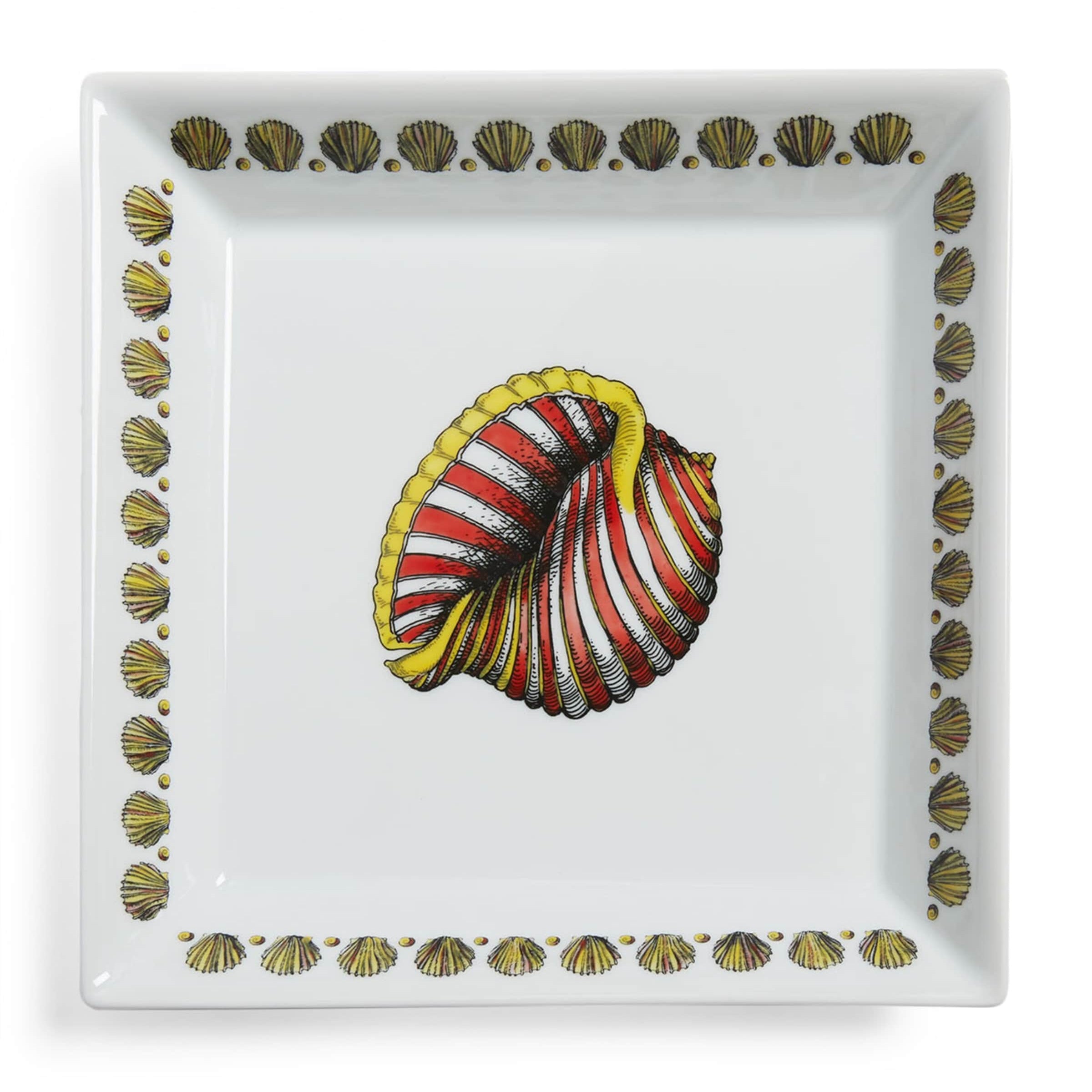 Square Giro di Conchiglie Plate (20cm x 20cm)