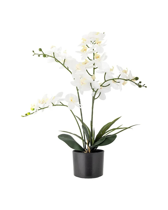 Bloomingville Orchid Plant 84 cm Yapay Saksı Bitkisi