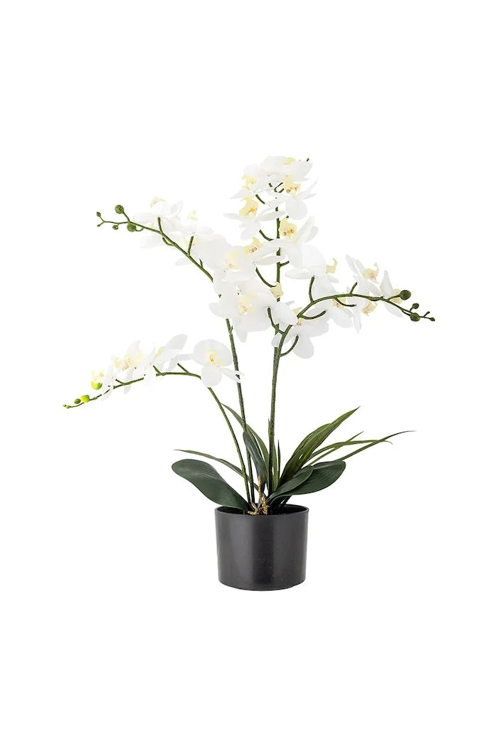 Bloomingville Orchid Plant 84 cm Yapay Saksı Bitkisi