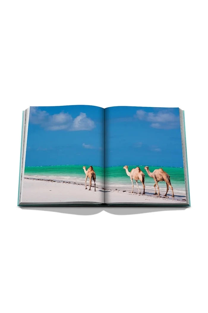 Assouline Saudi Arabia: Red Sea, the Saudi Coast by Christopher Smit Kitabı, İngilizce