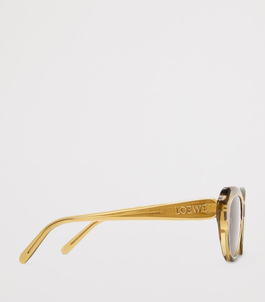 Acetate Swan Slim Sunglasses TRANSPARENT OLIVE