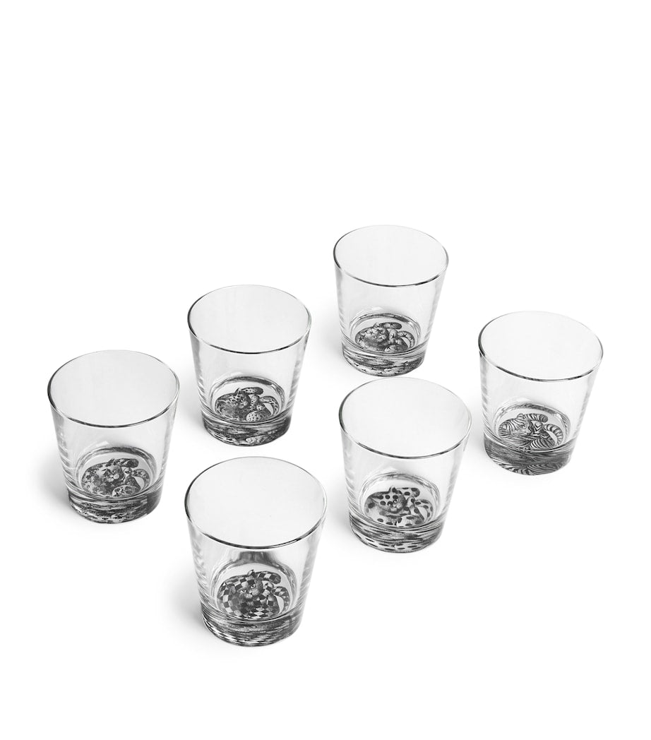 Set of 6 High Fidelity Tumblers