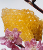 Nectarine Blossom & Honey Cologne