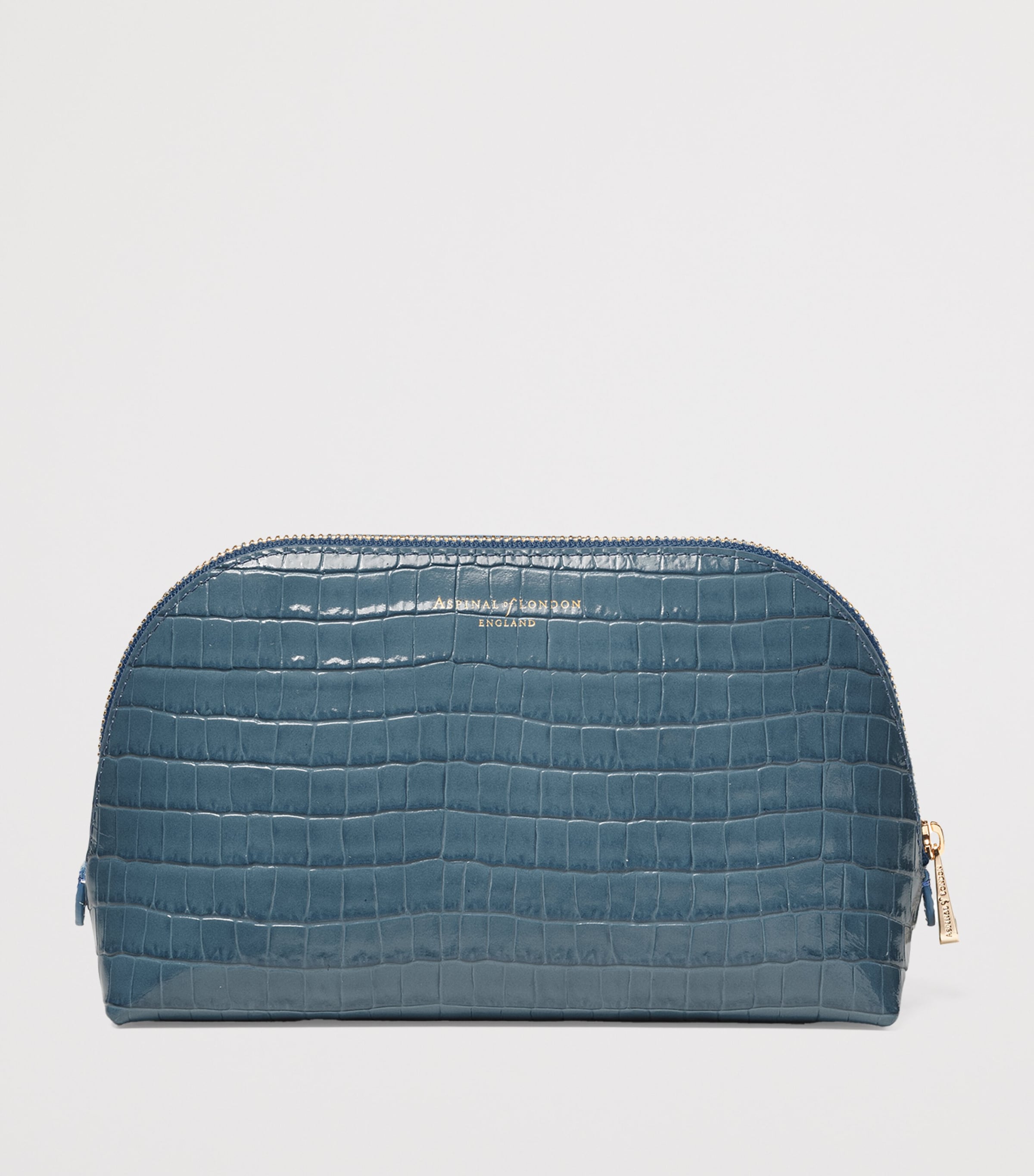 Small Leather Croc-Embossed Cosmetic Case