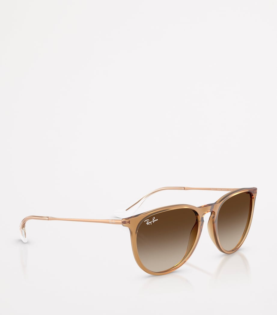 Ray-Ban RB4171 Erika Classic Sunglasses