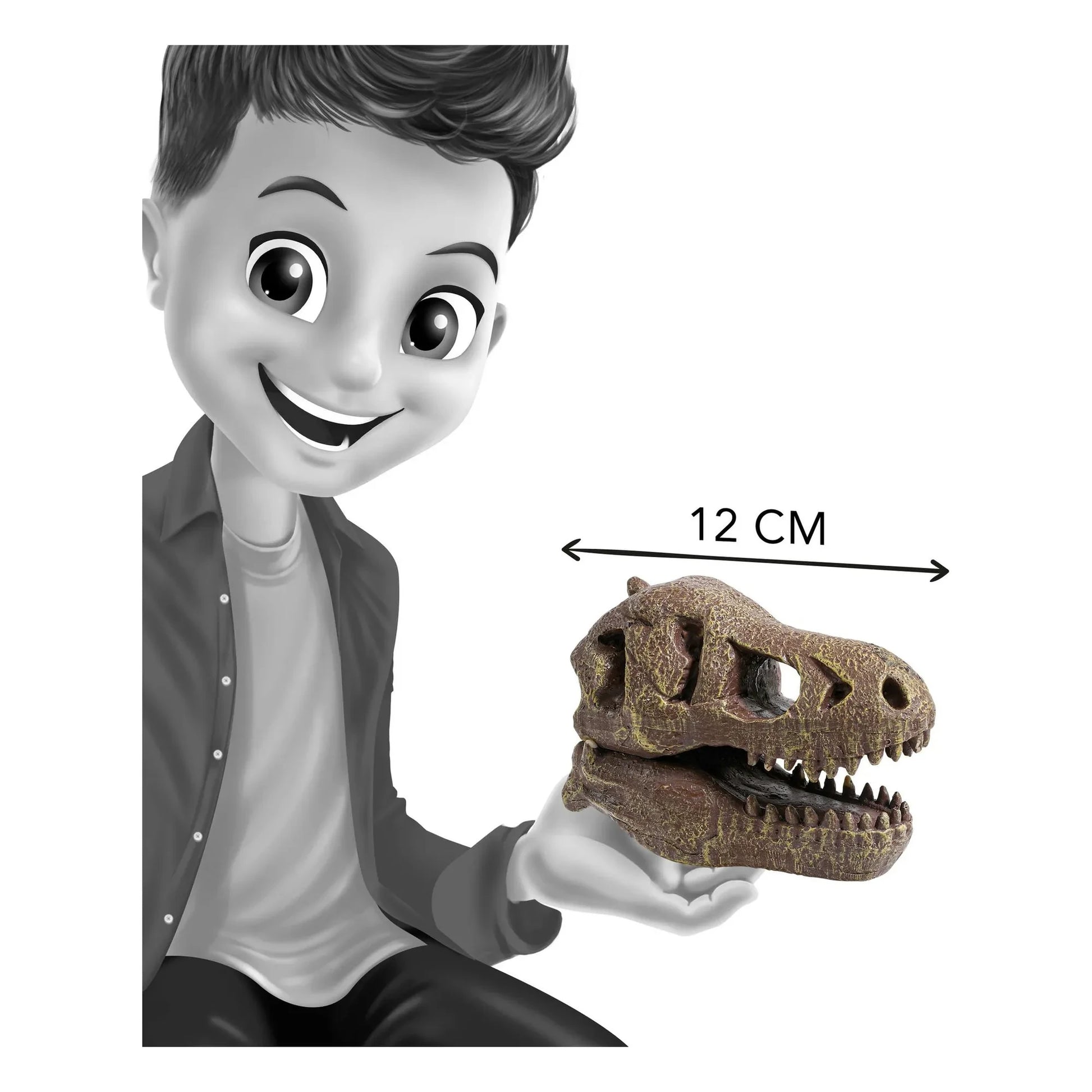 Buki - Archaeology set - Museum Dino Skull