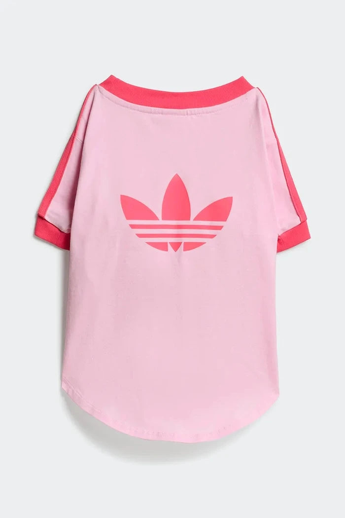 adidas Originals Evcil Hayvan Pet Cali