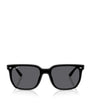 RB4466D Square Sunglasses