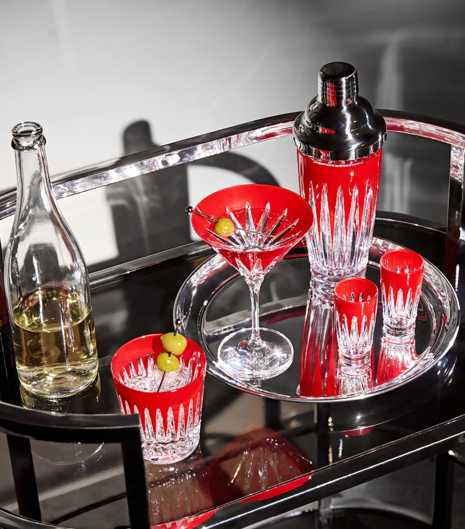 Crystal Firework Cocktail Shaker