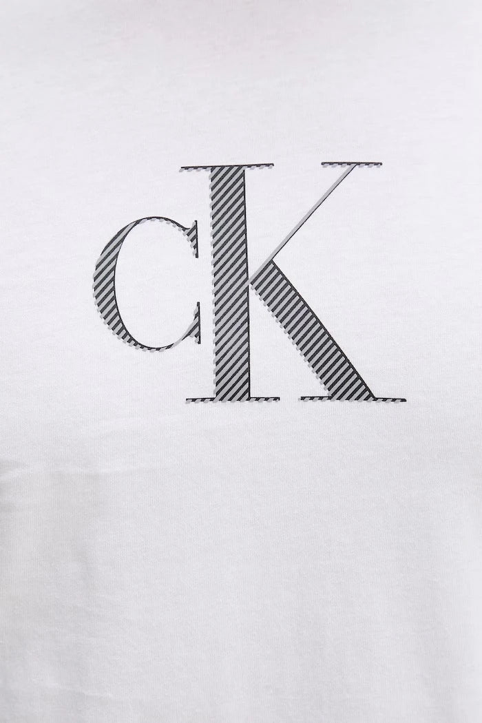 Calvin Klein erkek pamuklu tişört