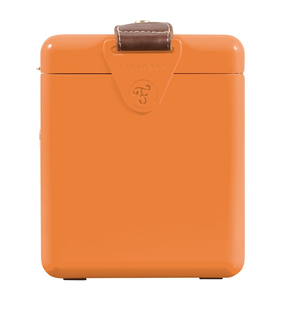 Mini Bar Cooler Box with Leather Sling (4L)