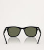 Injected RB4420 Sunglasses