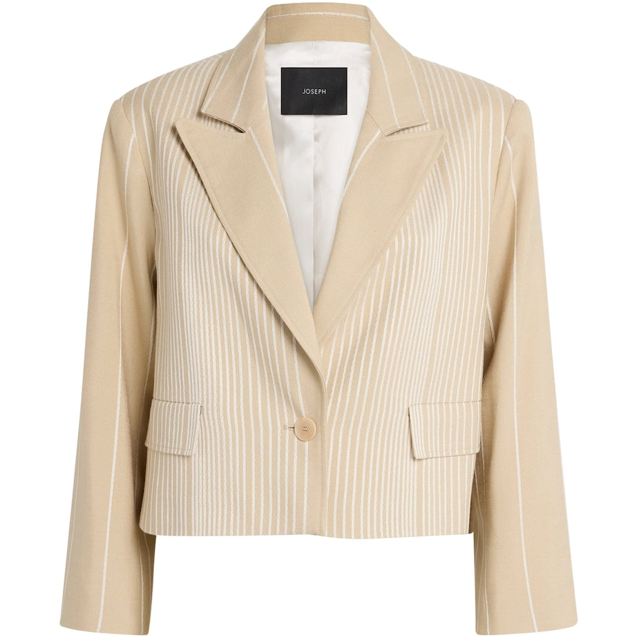 Multi Embroidered Stripe Berlier Blazer