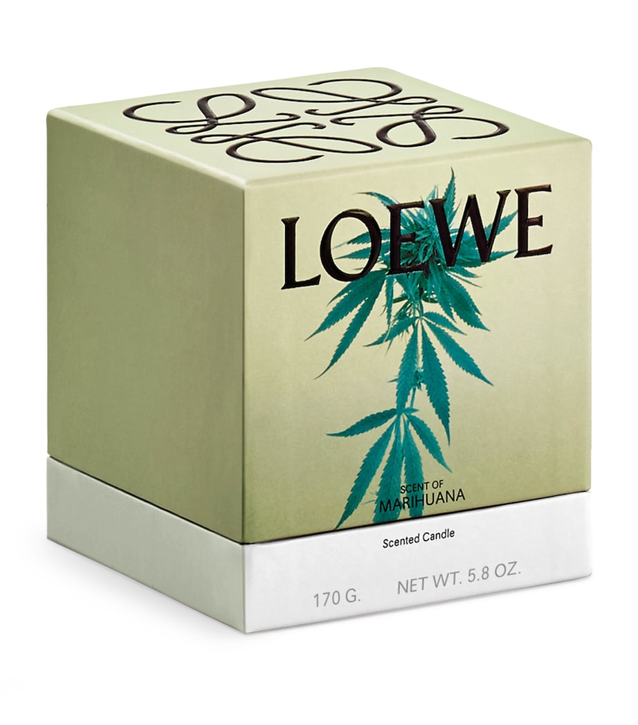 Marihuana Candle (170g)