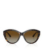 Brown Acetate JC5007 Sunglasses