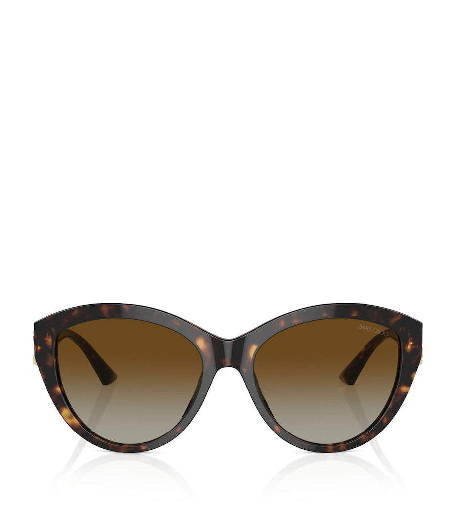 Brown Acetate JC5007 Sunglasses