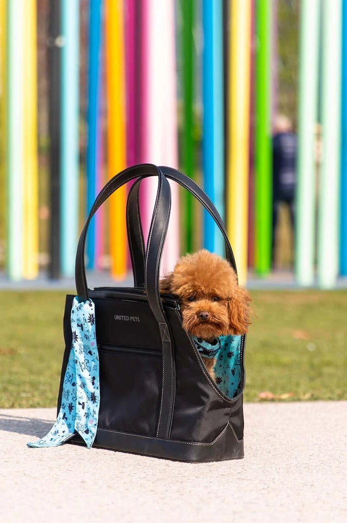 United Pets Up Bag Evcil Hayvan Taşıma Çantası