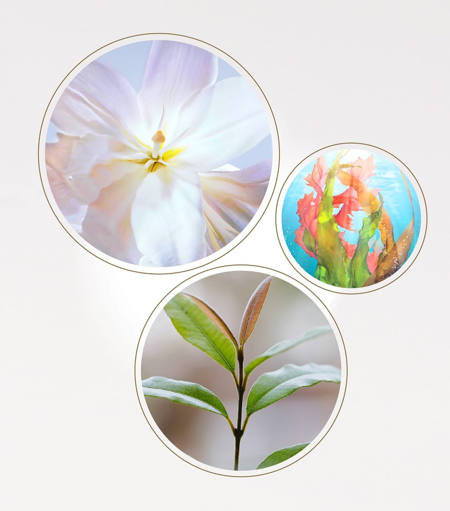 Clé de Peau Beauté The Serum (75ml) - Refill