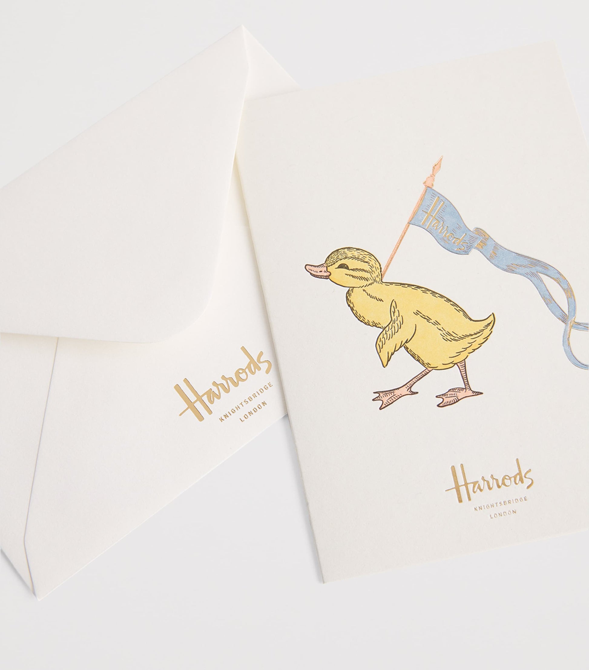 Duck Notelet Cards and Envelopes (Set of 5)