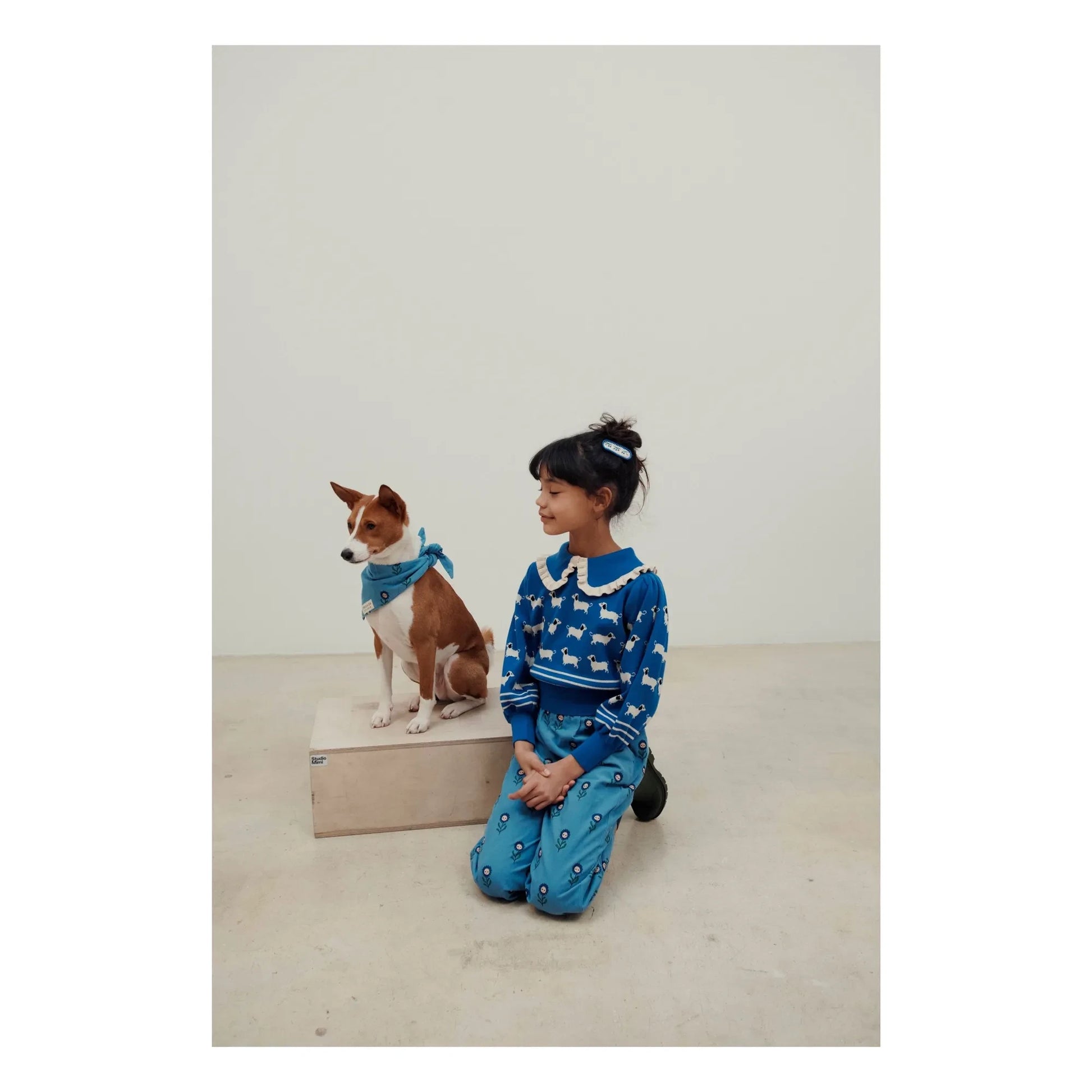Emile et Ida - Dogs Sweater | Royal blue