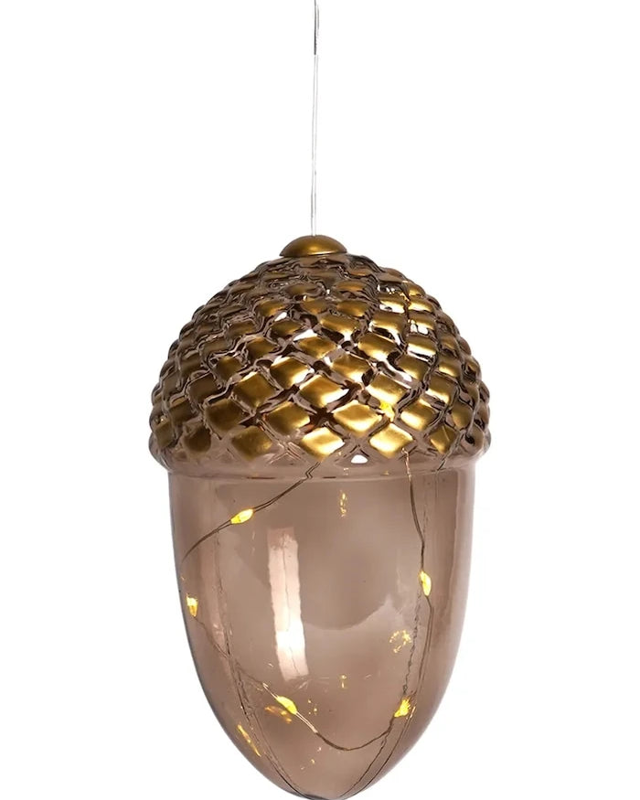 Led Noel Süsü Sirius Celina Agern