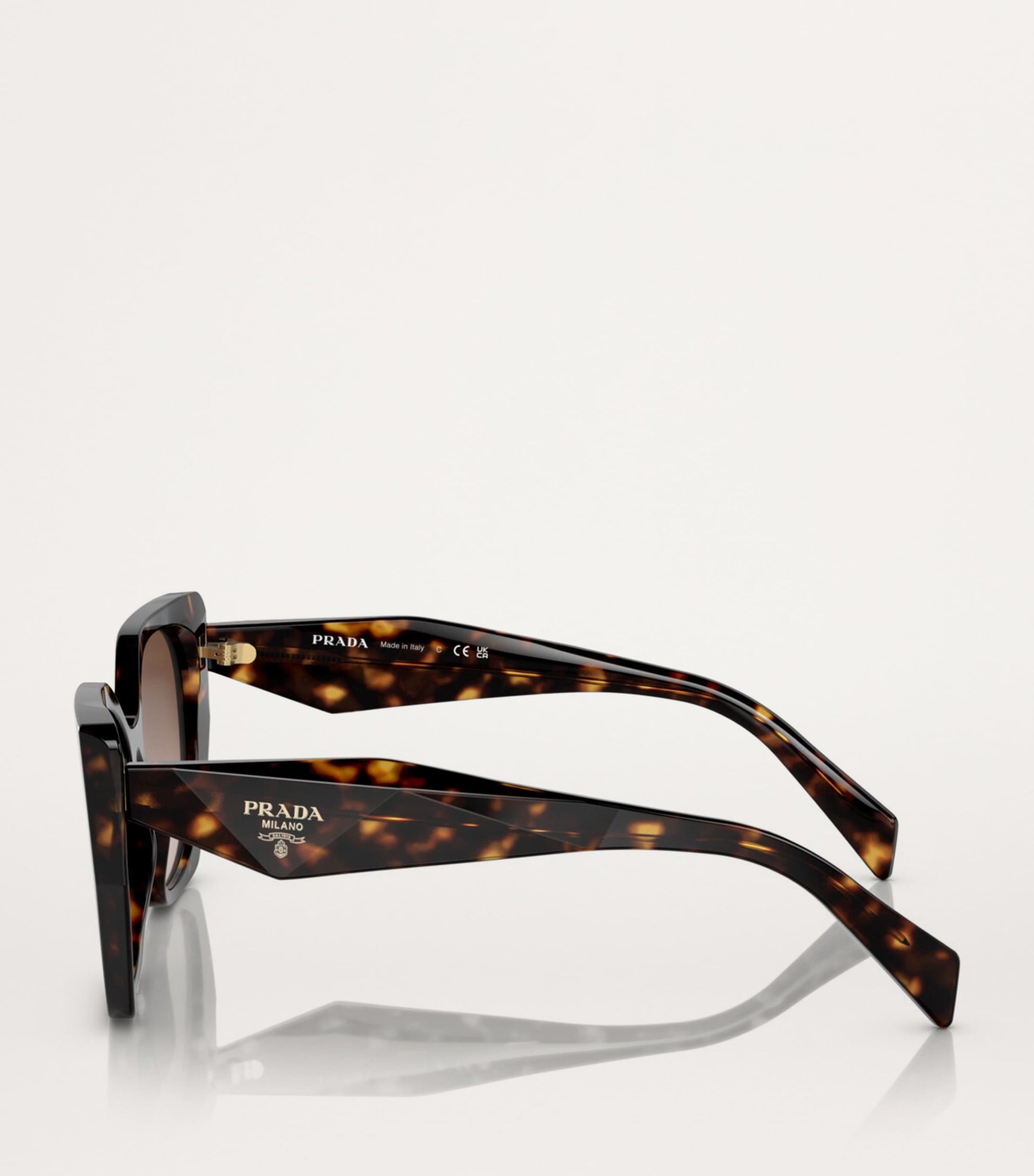 Brown Acetate PR 19ZS Sunglasses