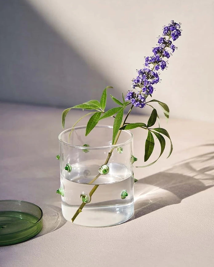 Кутия с капак Octaevo Agave S