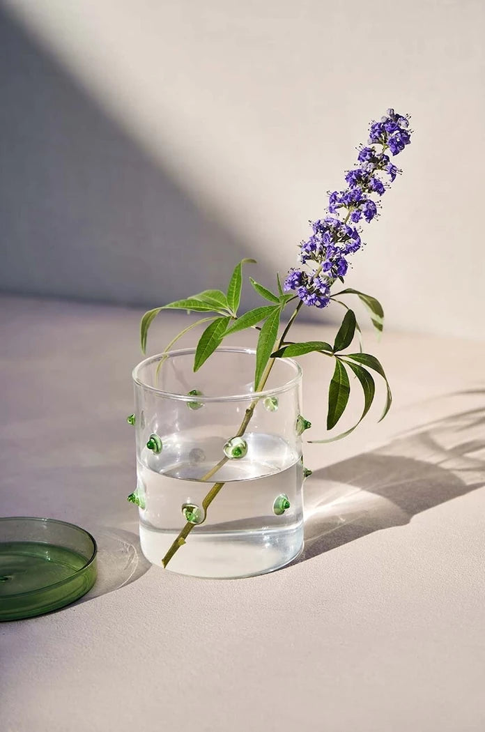 Кутия с капак Octaevo Agave S