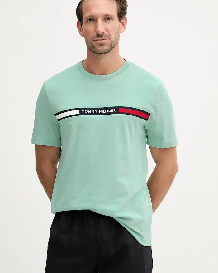 Tommy Hilfiger erkek pamuklu tişört