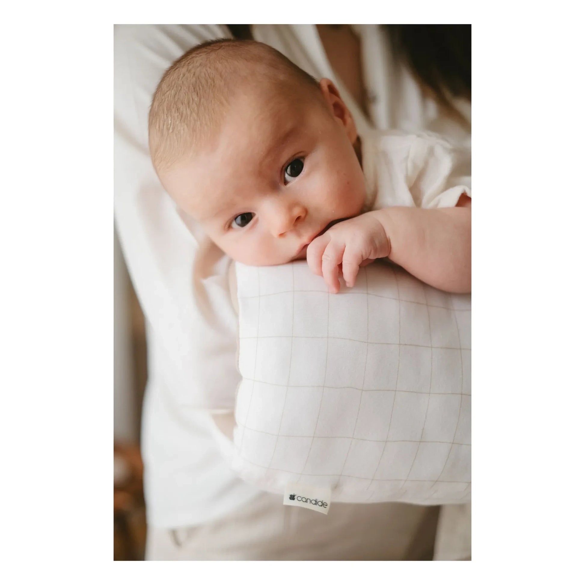 Candide - Nursing cuff | White