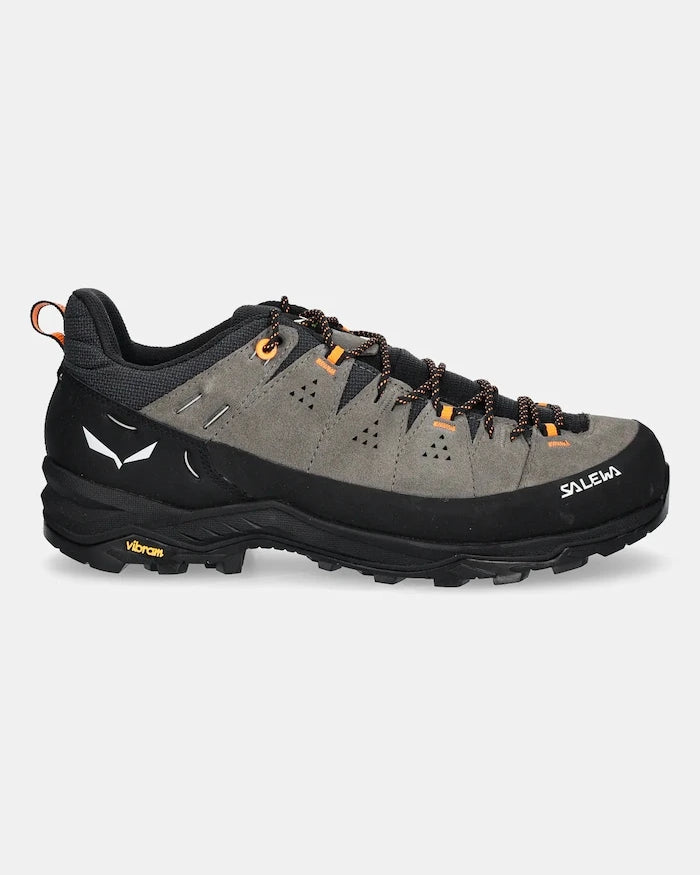 Salewa Alp Trainer 2