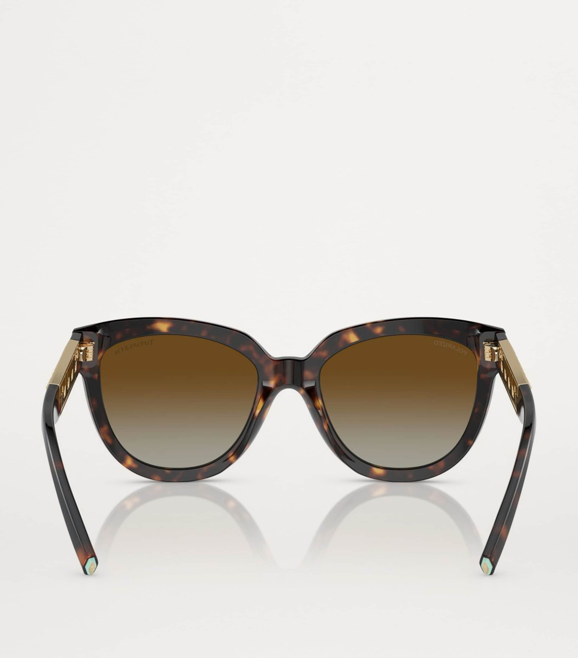 Ray-Ban Gold Metal 0RB3565 Sunglasses