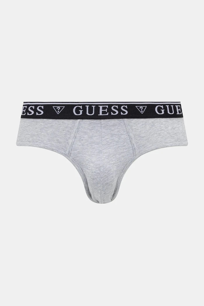 Guess pamuklu elastanlı erkek slip 5'li