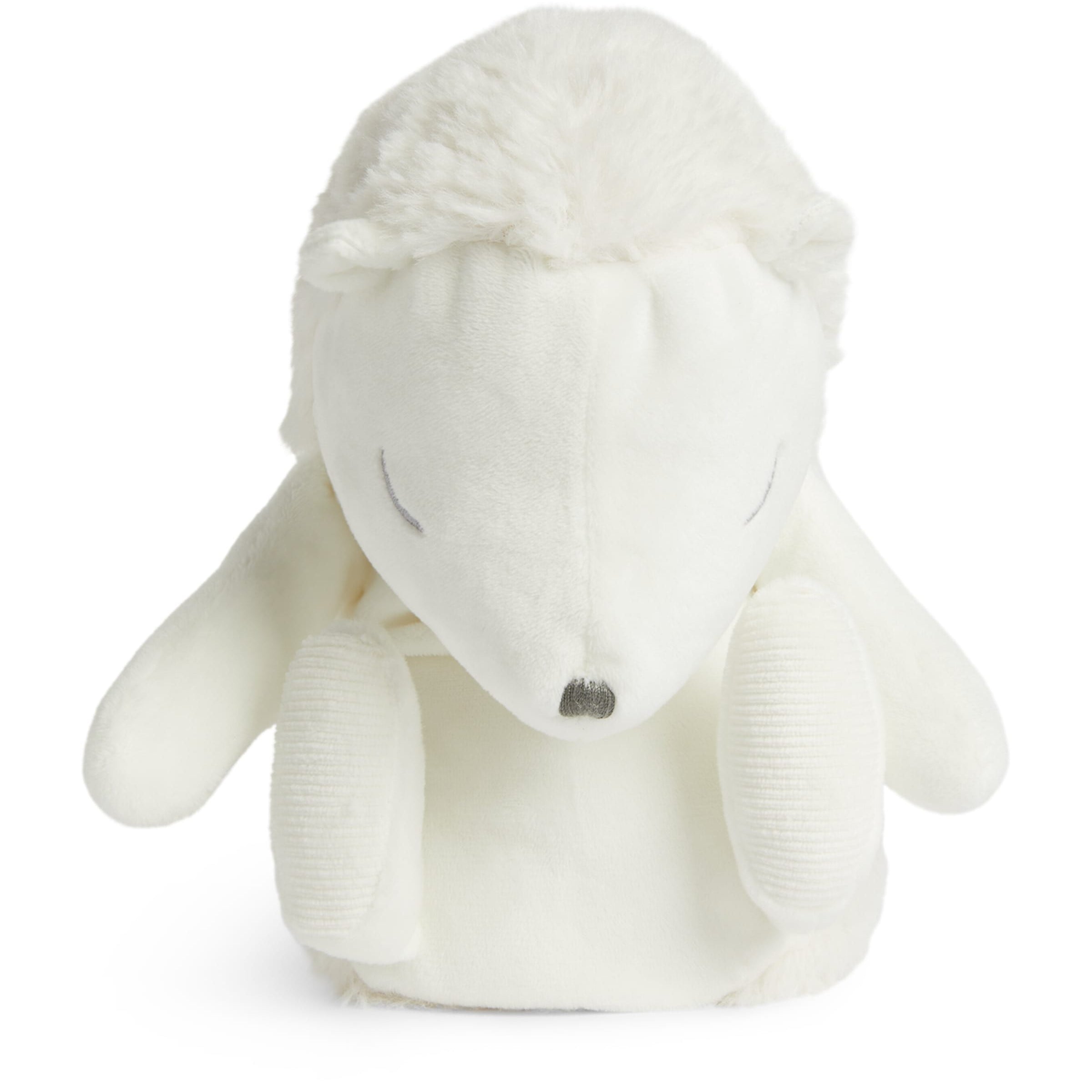 Leon The Hedgehog (25cm)