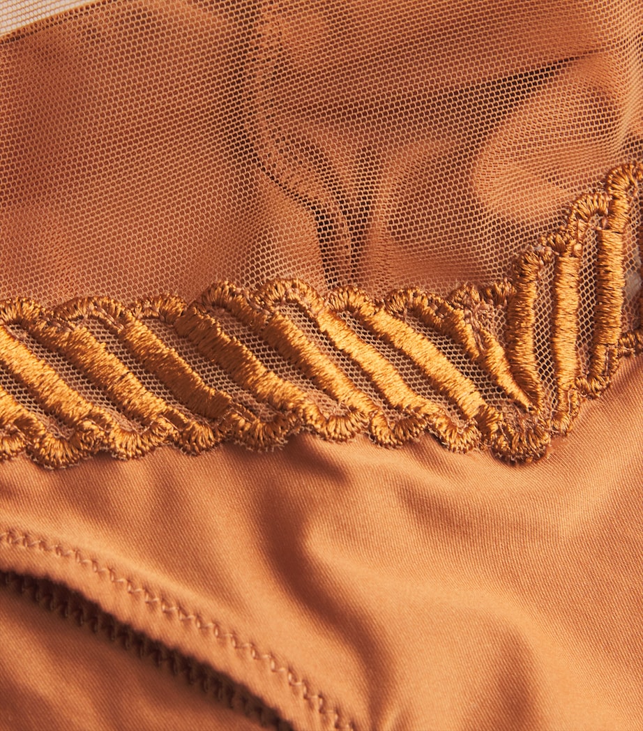 Aubade Brown Sheer Emotion Tanga