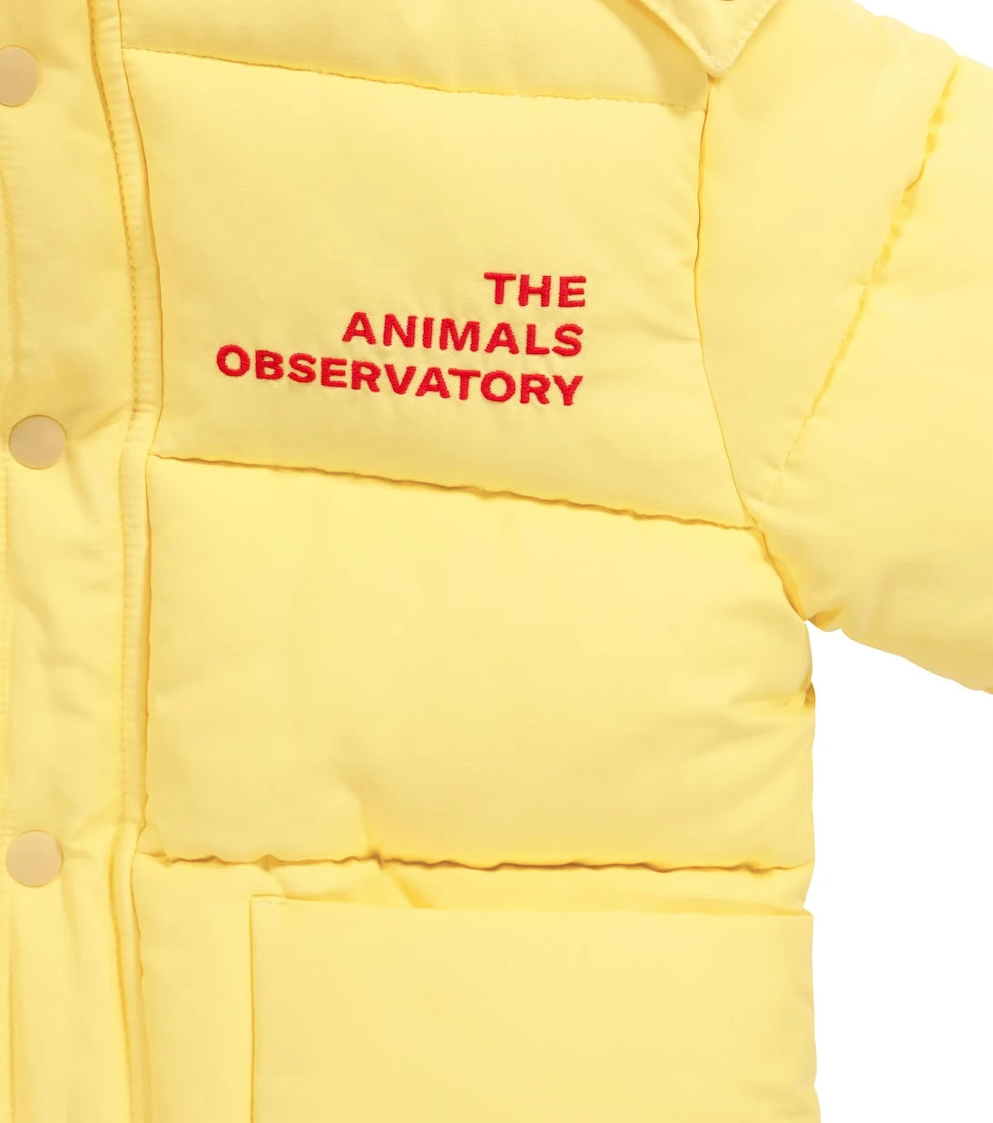 The Animals Observatory - جاكيت منفوخ من مزيج القطن بنقشة الليمور