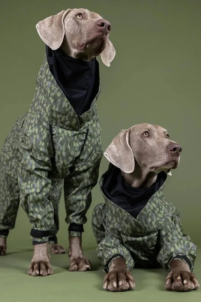 Дъждобран за куче PAIKKA Rain Suit 46 x 40 x 1,2 cm