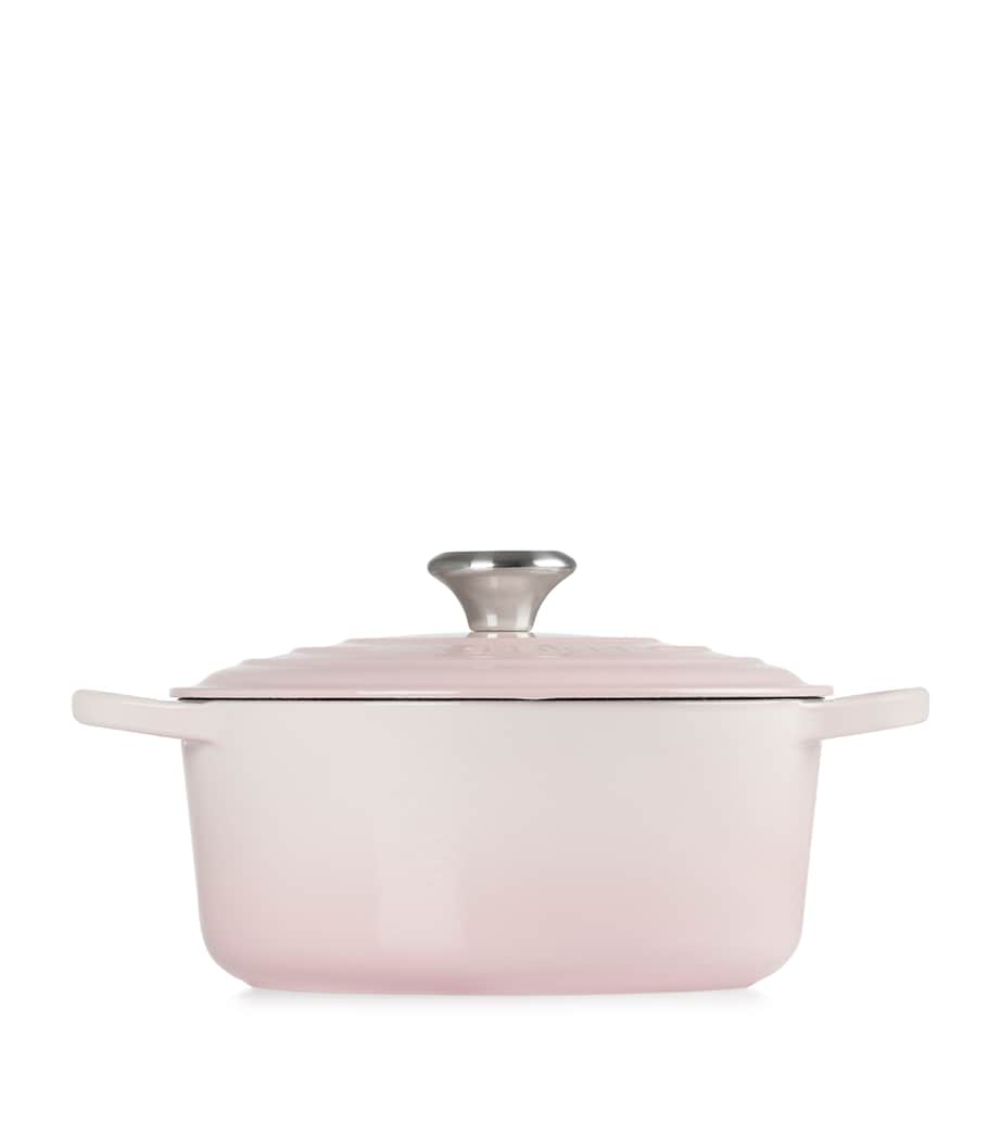 Cast Iron Round Casserole Dish (24cm)