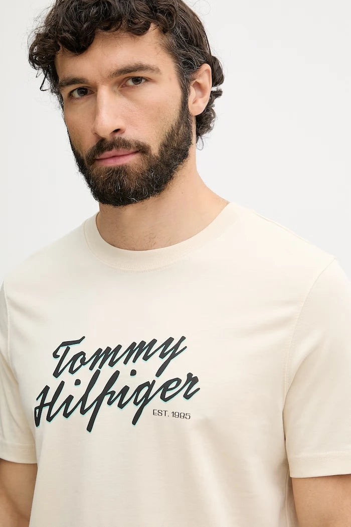 Tommy Hilfiger erkek pamuklu tişört