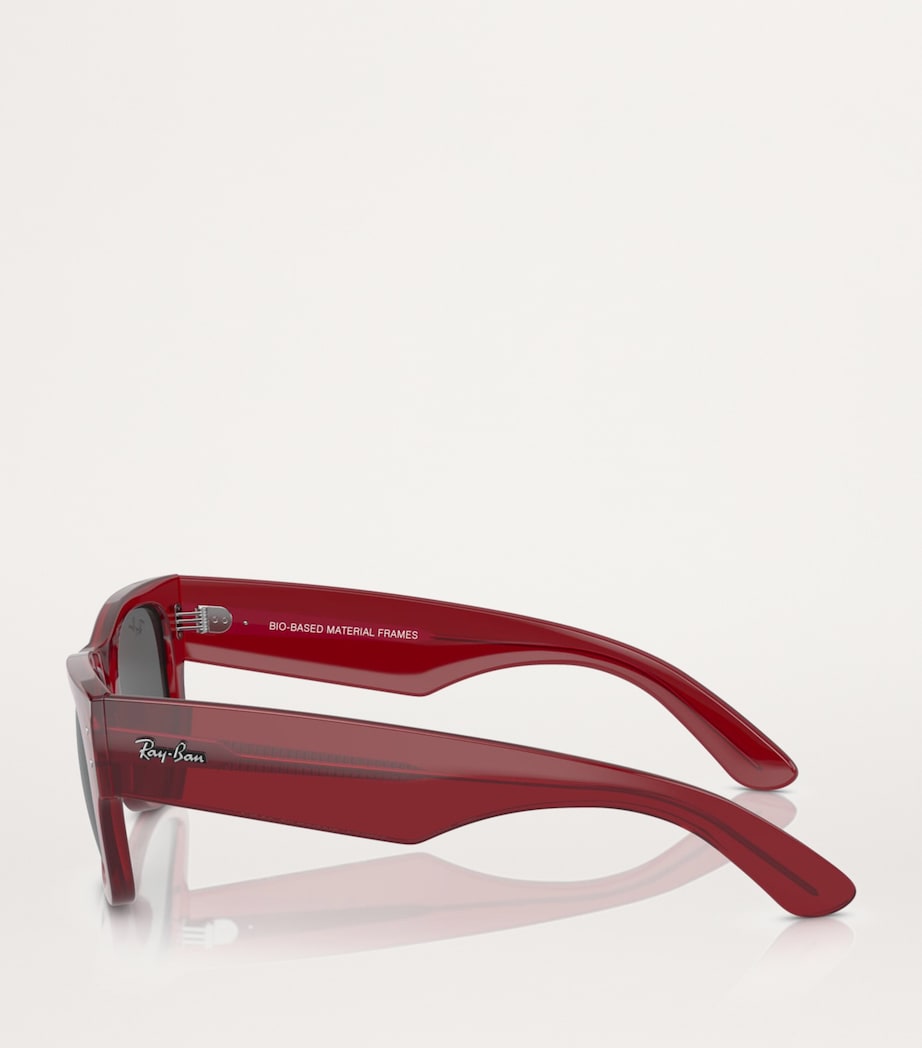 Ray-Ban Red Propionate 0RB0840S Sunglasses